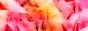 Everything+and+More+%2852%29.gif